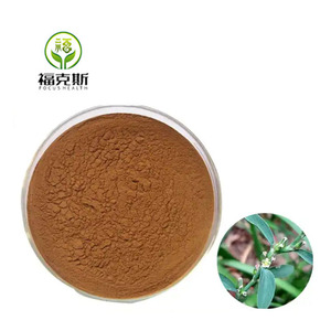 Japonicum üretimi tedarik tozu ortak Knotgrass <span class=keywords><strong>Polygonum</strong></span> <span class=keywords><strong>Aviculare</strong></span> özü - Product Image 4