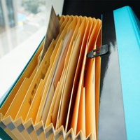 Carpeta de Archivo Expandible de Oficina, Carpeta de Archivo Expandible para Papel A4, Organizador de Documentos con Bolsillos Tipo Acordeón