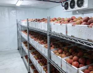 Grande chambre froide de plain-pied pour le stockage de poulet congelé, pour projets de congélation et de refroidissement, chambre froide de plain-pied, chambre froide industrielle - Product Image 1