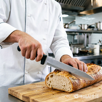 Couteau à scier dentelé de 10 pouces conforme aux normes, lame en acier inoxydable SS420J2, manche en polypropylène antidérapant, parfait pour la maison et le jardin