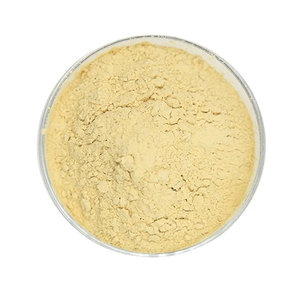 Estratto di Sophora Japonica Genisteina in Polvere Grado Alimentare Confezione in Fusto 98% Fornitore all'Ingrosso 446-72-0 Integratore Nutrizionale per Sport - Product Image 2