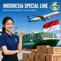Services de transitaire maritime et aérien DDP Chine-Indonésie à bas prix, services de logistique Chine-Indonésie