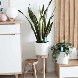 Medidor de suelo inteligente para el hogar 2 en 1, aplicación Zigbee, Control remoto, <span class=keywords><strong>Detector</strong></span> de temperatura y <span class=keywords><strong>humedad</strong></span> del suelo para pruebas de suelo de jardín - Product Image 6