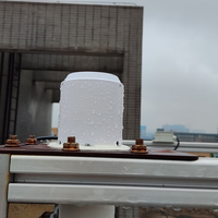 RS485 4G Wifi Lora Module de capteur d'agriculture extérieure roulement de pluie diamètre mesure Instrument d'analyse jauge de détection de pluie