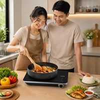 Cuisinière à induction portable 2000W, plaque chauffante électrique à brûleur unique, 9 niveaux de puissance, chauffage rapide, appareil de cuisine