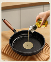 Poêle à frire en céramique antiadhésive en pierre de Maifan, multifonctionnelle, compatible gaz et induction, capacité 3-4L, portable, à fond plat, pour steaks