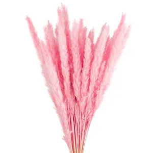 夏のフローラ最も人気のある花屋用品装飾用の花自然な小さなパンパス草家の装飾用