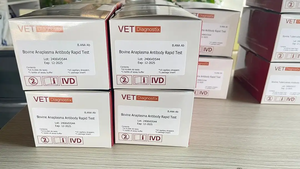 소 공장 직매 소 브루셀라 항체 신속 검사 키트 - Product Image 2