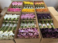 Offre Spéciale – Mini Fleurs Artificielles Calla Lily en EVA, Effet Réel, Blanches, pour Arrangements de Mariage et Décoration