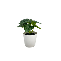 Plantes artificielles en pot, verdure réaliste pour la maison, le bureau, l'hôtel, l'extérieur, les mariages, la décoration de Noël