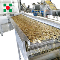 Werveling Droger Fruit En Groenten Drogen Industriële Droogapparatuur Massaproductie Volautomatisch