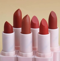 Marque Privée Rouge à Lèvres Rouge à Lèvres Mat de Luxe Vegan Waterproof Personnalisée