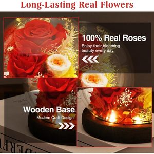 Frymshe ของขวัญดอกกุหลาบของขวัญแก้วโดมของขวัญวันเกิดวันครบรอบคริสต์มาสสำหรับคุณแม่คุณยายภรรยากลุ่มเป้าหมายผู้หญิง - Product Image 4