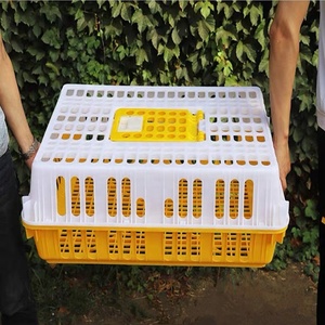 En kaliteli ucuz broiler tavuk taşıma kafesi nijerya'da satılık - Product Image 6