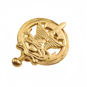 Distintivo Metallico Personalizzato Soldato della Gendarmeria Africana - Spilla Medaglia d'Oro CIESO Pentathlon 3D con Ala in Rilievo e Spada Mostro - Product Image 1