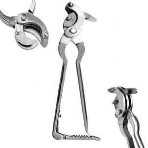 Instrumento Veterinario de Inseminación de Acero Inoxidable Alemán, Emasculador Curvo Serra, Pinza de Castración 31cm, Emasculador Sand, ISO CE - Product Image 1