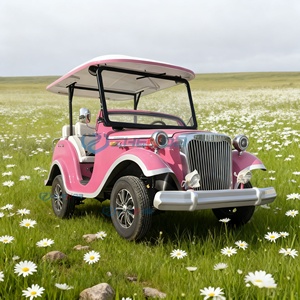 Vehículo eléctrico clásico Coche vintage Turismo Coches clásicos a la venta Asientos de coche clásicos - Product Image 3