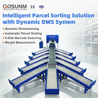 Línea de Cinta Transportadora GOSUNM H230334 con Dimensionamiento Dinámico DWS y Escaneo Superior para Automatización Logística 3000 PPH