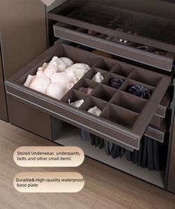 HNOSS Five-layer <strong>Wardrobe</strong> Hanging Basket <strong>Drawer</strong> Closet Jewelry <strong>Drawer</strong> <strong>Inserts</strong> Soft Close Undermount <strong>Drawer</strong> Basket - Product Image 5