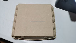 קרטון ביצים מתכלה ידידותי לסביבה 6/12/30 ביצים לבן צבע טבעי עיסת נייר יצוקה קופסת ביצים מכירה ישירה מהמפעל - Product Image 4