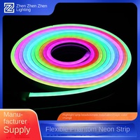 Bande lumineuse néon RVB en silicone IP65 12V, flexible, couleurs magiques, étanche, pour publicité extérieure, éclairage intérieur et divertissement, garantie 5 ans