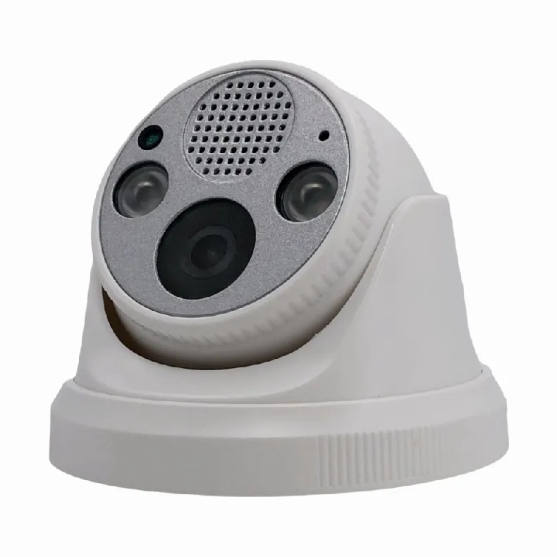 2mp 1080P Imx307 Sensor Netwerkcamera Oogbol Dome Menselijk Bewegingsdetectiebeveiligingssysteem Cctv Ip Poe Camera Met Tweerichtingsaudio