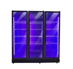 Dispositivo di raffreddamento verticale dell'esposizione della bottiglia della porta di vetro/frigorifero incorporato del frigorifero con l'aspetto di lusso