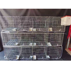 Kapalı metal broiler tavşan ve kafesleri tavşan oranı tepsi mat tiryakisi besleyici sistemi tam aksesuarları - Product Image 5