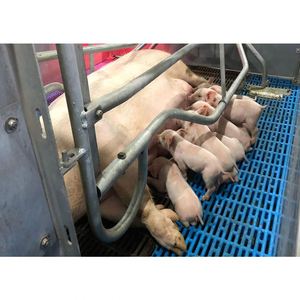 Hot <b>Sale</b> Modern Comfortable Pig Farm Sow Farrowing Crate Custom Steel Animal Cage Durable and Automatic <b>for</b> Home Use - Product Image 5