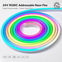 Tira de neón LED RGBIC direccionable de 24V, programable digitalmente, de silicona, para bares, discotecas, escenarios, luz de cuerda de color de ensueño