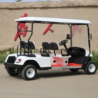 Voiturette de golf blanche 4 places avec auvent, port USB, contrôleur intelligent, 50-70 km/h, autonomie 90 km, pour attractions touristiques, visites, stations balnéaires, camping