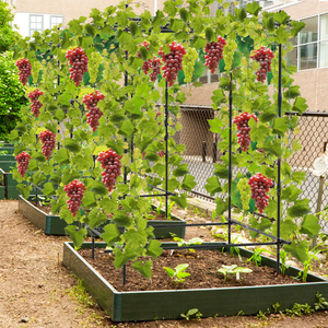 DB Easy Outdoor <span class=keywords><strong>Garden</strong></span> A-Frame Red de enrejado de pepino Revestimiento en polvo de PVC Fácil de montar para plantas trepadoras Cercado de granja - Product Image 2