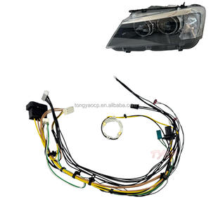 Faisceau de câblage interne pour phares BMW X3 X4 (2011-2013) – Kit de câblage de phares de voiture F25 F26 avec connecteur et ligne de câblage AFS - Product Image 1