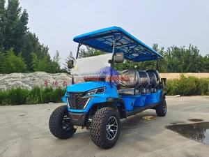 Customized 2 Seater Electric <b>Golf</b> Buggy Cart Lithium <b>Battery</b> - Product Image 2