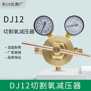 Régulateur de pression d'oxygène Shanghai Tianchuan JD12 en laiton, à commande manuelle monophasée - Product Image 2
