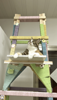 Arbre à chat moderne de grande taille haut de gamme avec mur à gratter en feutre et étagères multi-niveaux pour reptiles d'intérieur (Édition Noël)