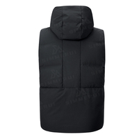 Oem Gilet en duvet personnalisé col montant Canada Plus Manteau pour hommes Manteau en duvet d'oie pour femmes