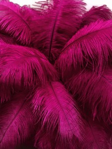 Plumes d'autruche en gros pour décorations de mariage - Product Image 4