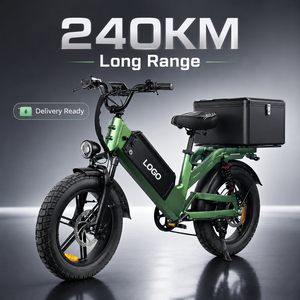 Bicicleta Eléctrica de Reparto D55 E-MTB 750W con Neumático Grueso de 20 Pulgadas, 48V55Ah, 240km de Autonomía, Bicicleta de Carga OEM, Fabricación Directa de Fábrica, Venta al Por Mayor - Product Image 1