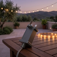 Adaptateur secteur mural étanche IP44 DC AC 12V 250mA avec prise US EU UK AU pour lumières de Noël