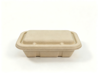 Ecologisch afbreekbare composteerbare salade-fruit-noedel meeneemdoos met deksel van suikerrietpulp (bagasse)