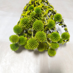 Cardo de globo azul natural (<span class=keywords><strong>Echinops</strong></span> Latifolius) Flores preservadas Boda rústica Bolas puntiagudas decorativas Ramo de habitación tintado - Product Image 3