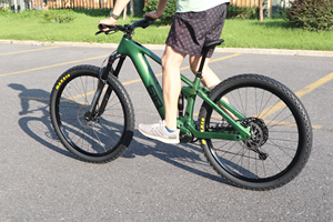 <span class=keywords><strong>Bicicleta</strong></span> Eléctrica de Montaña Bafang M820 de Fibra de Carbono EMTB de <span class=keywords><strong>29</strong></span> <span class=keywords><strong>Pulgadas</strong></span> - Product Image 6