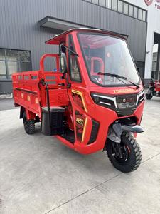 Tricycle KungFu <span class=keywords><strong>Tiger</strong></span>-Rui / Vente Flash / Tricycle à Trois Roues / <span class=keywords><strong>200cc</strong></span> / Tricycle à 3 Roues Droites / <span class=keywords><strong>Moto</strong></span> Tricycle / Alimentation à Essence / NOUVEAU 2026 - Product Image 5