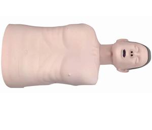 Modèle de mannequin en PVC pour la gestion avancée des voies respiratoires chez l'adulte difficile à soigner EM2010 - Product Image 4