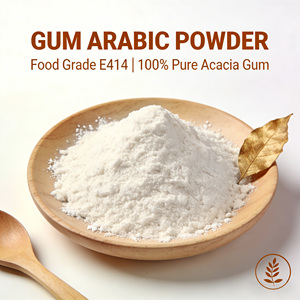 Poudre de <span class=keywords><strong>gomme</strong></span> d'acacia E414 de qualité alimentaire, liant et épaississant naturel <span class=keywords><strong>pour</strong></span> aliments <span class=keywords><strong>pour</strong></span> animaux, aliments humides <span class=keywords><strong>pour</strong></span> chats et chiens, viande en conserve, certifié Halal ISO, en vrac - Product Image 2