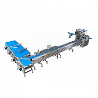 Ligne d'emballage automatique Ding Yan, combinaison de plusieurs machines d'emballage, machine d'emballage horizontale pour biscuits, gâteaux et aliments