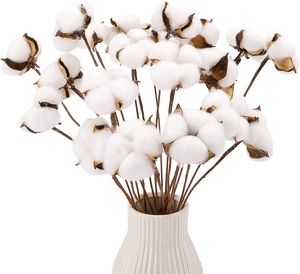 Naturale un ramo di cotone autunno fiori secchi <span class=keywords><strong>decorativi</strong></span> steli di cotone bianco per composizioni floreali - Product Image 1