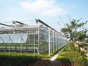 Fauteuil solaire 12 v avec économie d'énergie, serre agricole en verre, végétation/floraison - Product Image 6