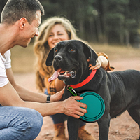 Bols pliables pour chien, bols de voyage portables pour animaux de compagnie, plats à nourriture pliables pour les voyages et le camping, bols en silicone avec mousquetons, lot de 2 pièces